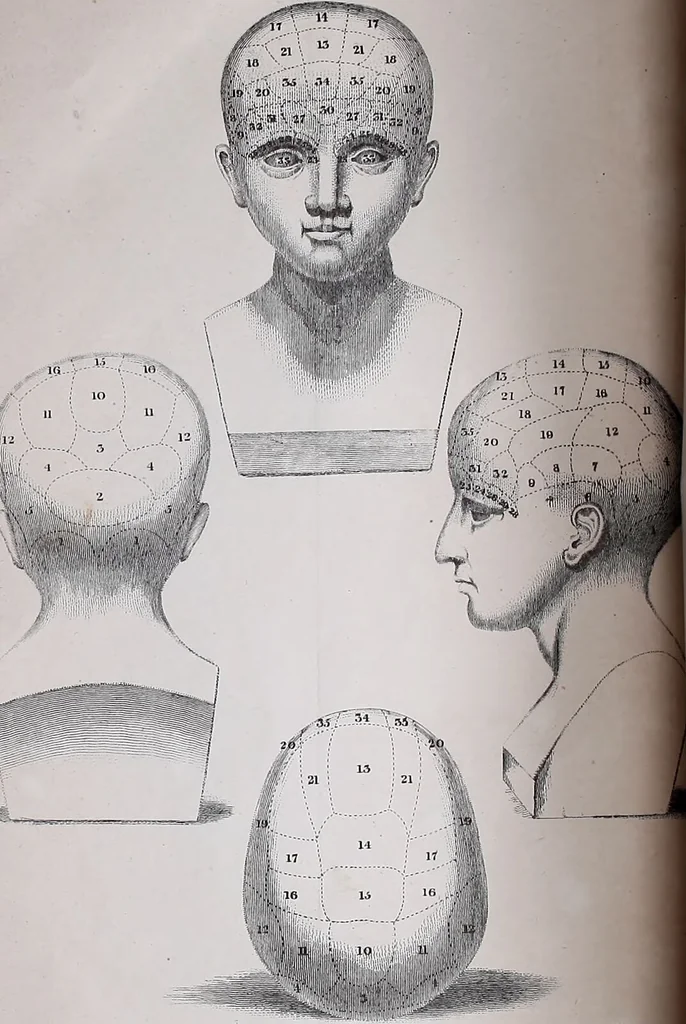 An illustration from A key to phrenology : containing a brief statement of the faculties of the mind, the history and practical uses of phrenology / by a member of the Phrenological Society., 1836, leaf 2