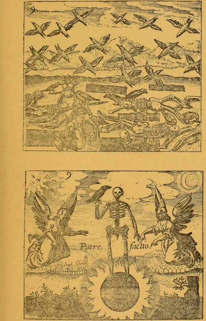 An illustration from Théories & symboles des alchimistes : le grand-oeuvre : suivi d'un essai sur la bibliographie alchimique due XIXe sìecle., 1891, leaf 139