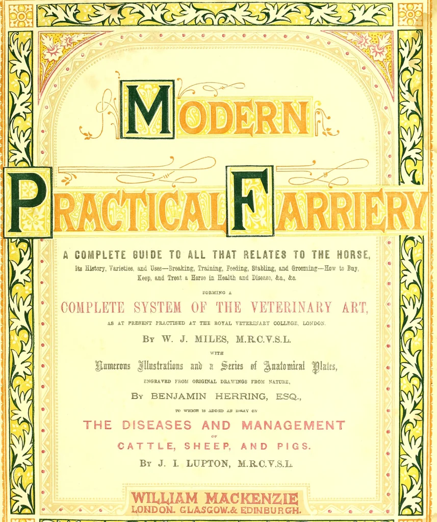 An illustration from Modern practical farriery : a complete guide to all that relates to the horse; its history, varieties, and uses, breaking, training, feeding, stabling, and grooming, how to buy, keep and treat a horse in health and disease ... forming a complete system of the veterinary art, as a present practised at the Royal Veterinary College, London / by W.J. Miles ... with numerous illustrations and a series of anatomical plates, engraved from the original drawings from nature, by Benjamin Herring. To which is added an essay on the diseases and management of cattle, sheep, and pigs / by J.I. Lupton., 1885, leaf 13