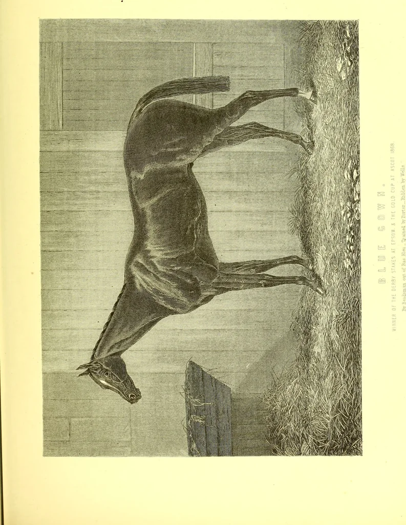 An illustration from Modern practical farriery : a complete guide to all that relates to the horse; its history, varieties, and uses, breaking, training, feeding, stabling, and grooming, how to buy, keep and treat a horse in health and disease ... forming a complete system of the veterinary art, as a present practised at the Royal Veterinary College, London / by W.J. Miles ... with numerous illustrations and a series of anatomical plates, engraved from the original drawings from nature, by Benjamin Herring. To which is added an essay on the diseases and management of cattle, sheep, and pigs / by J.I. Lupton., 1885, leaf 517
