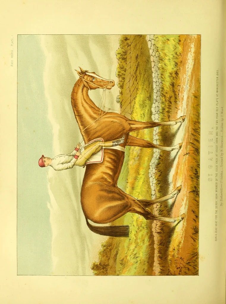 An illustration from Modern practical farriery : a complete guide to all that relates to the horse; its history, varieties, and uses, breaking, training, feeding, stabling, and grooming, how to buy, keep and treat a horse in health and disease ... forming a complete system of the veterinary art, as a present practised at the Royal Veterinary College, London / by W.J. Miles ... with numerous illustrations and a series of anatomical plates, engraved from the original drawings from nature, by Benjamin Herring. To which is added an essay on the diseases and management of cattle, sheep, and pigs / by J.I. Lupton., 1885, leaf 552