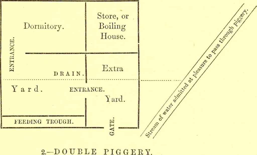 An illustration from Modern practical farriery : a complete guide to all that relates to the horse; its history, varieties, and uses, breaking, training, feeding, stabling, and grooming, how to buy, keep and treat a horse in health and disease ... forming a complete system of the veterinary art, as a present practised at the Royal Veterinary College, London / by W.J. Miles ... with numerous illustrations and a series of anatomical plates, engraved from the original drawings from nature, by Benjamin Herring. To which is added an essay on the diseases and management of cattle, sheep, and pigs / by J.I. Lupton., 1885, leaf 715