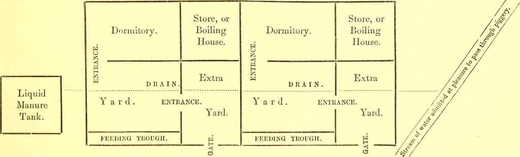 An illustration from Modern practical farriery : a complete guide to all that relates to the horse; its history, varieties, and uses, breaking, training, feeding, stabling, and grooming, how to buy, keep and treat a horse in health and disease ... forming a complete system of the veterinary art, as a present practised at the Royal Veterinary College, London / by W.J. Miles ... with numerous illustrations and a series of anatomical plates, engraved from the original drawings from nature, by Benjamin Herring. To which is added an essay on the diseases and management of cattle, sheep, and pigs / by J.I. Lupton., 1885, leaf 715