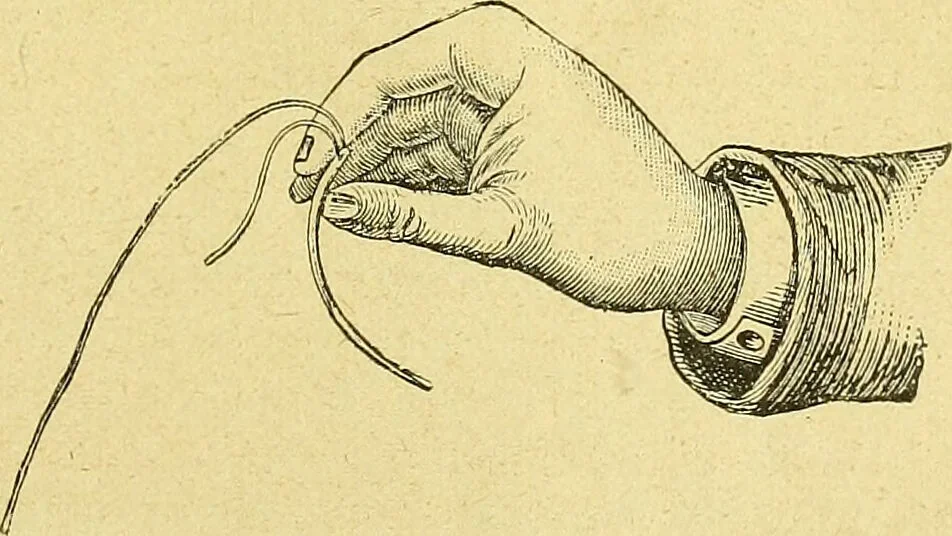 An illustration from La nuova medicina natural : trattato d'insegnamento e di consultazione sul metodo di curare e di guarire le malattie seguendo le leggi di natura / di F.E. Bilz., 1895, leaf 135