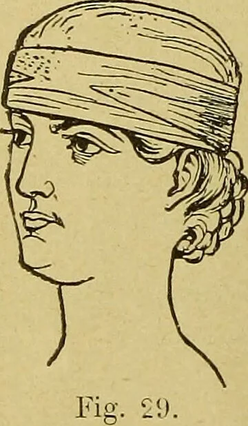 An illustration from La nuova medicina natural : trattato d'insegnamento e di consultazione sul metodo di curare e di guarire le malattie seguendo le leggi di natura / di F.E. Bilz., 1895, leaf 136