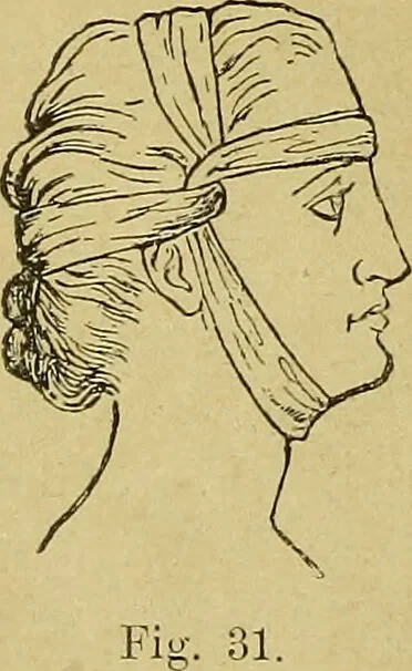 An illustration from La nuova medicina natural : trattato d'insegnamento e di consultazione sul metodo di curare e di guarire le malattie seguendo le leggi di natura / di F.E. Bilz., 1895, leaf 136
