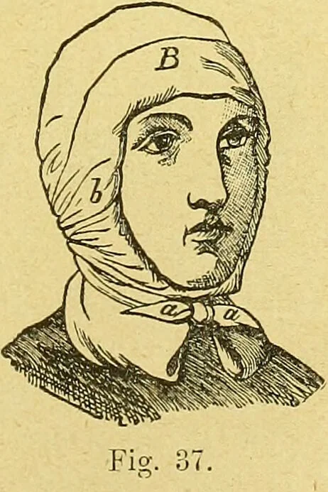 An illustration from La nuova medicina natural : trattato d'insegnamento e di consultazione sul metodo di curare e di guarire le malattie seguendo le leggi di natura / di F.E. Bilz., 1895, leaf 137