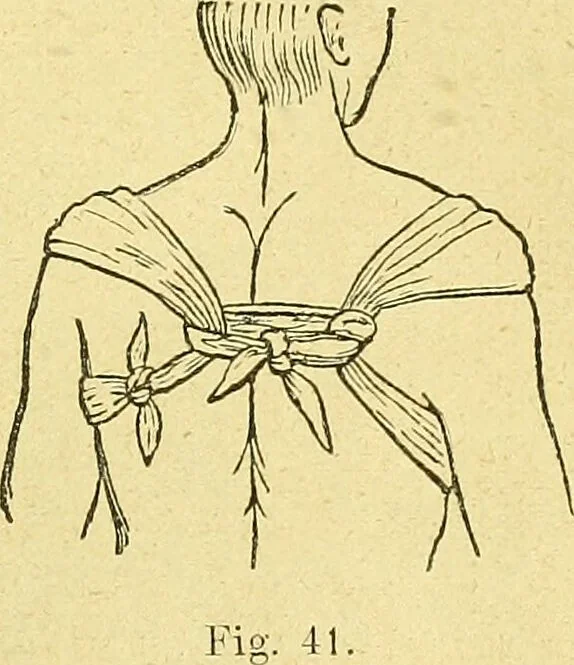 An illustration from La nuova medicina natural : trattato d'insegnamento e di consultazione sul metodo di curare e di guarire le malattie seguendo le leggi di natura / di F.E. Bilz., 1895, leaf 139