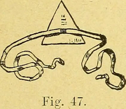 An illustration from La nuova medicina natural : trattato d'insegnamento e di consultazione sul metodo di curare e di guarire le malattie seguendo le leggi di natura / di F.E. Bilz., 1895, leaf 141