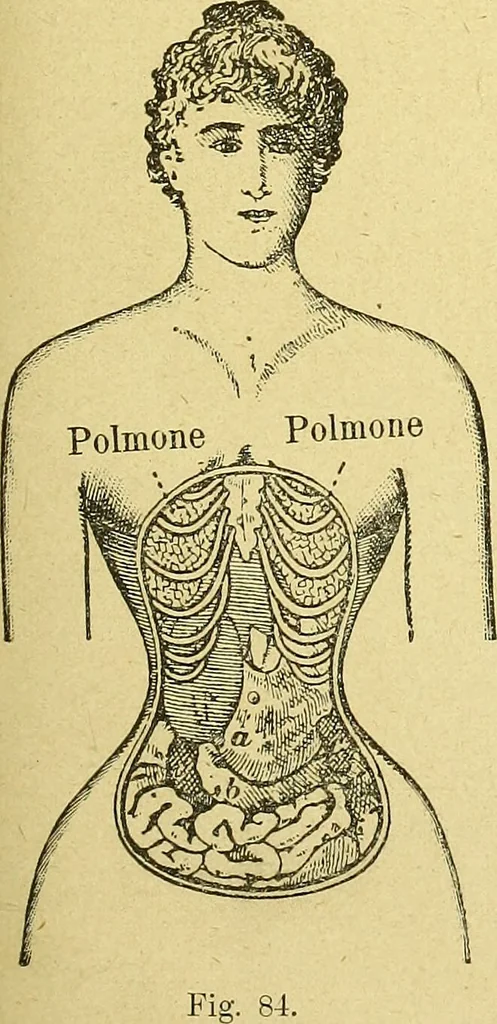 An illustration from La nuova medicina natural : trattato d'insegnamento e di consultazione sul metodo di curare e di guarire le malattie seguendo le leggi di natura / di F.E. Bilz., 1895, leaf 197