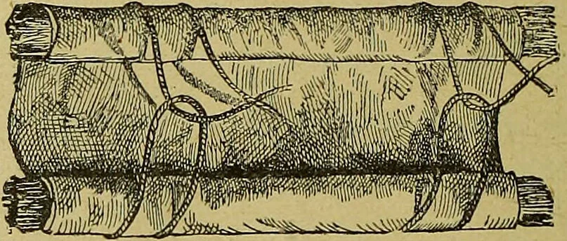 An illustration from La nuova medicina natural : trattato d'insegnamento e di consultazione sul metodo di curare e di guarire le malattie seguendo le leggi di natura / di F.E. Bilz., 1895, leaf 216
