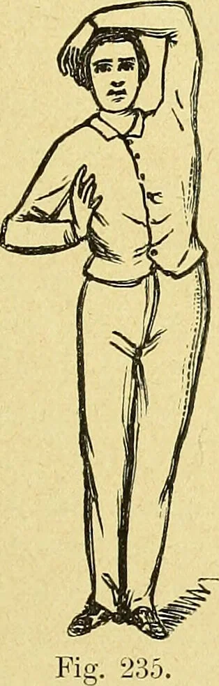 An illustration from La nuova medicina natural : trattato d'insegnamento e di consultazione sul metodo di curare e di guarire le malattie seguendo le leggi di natura / di F.E. Bilz., 1895, leaf 245