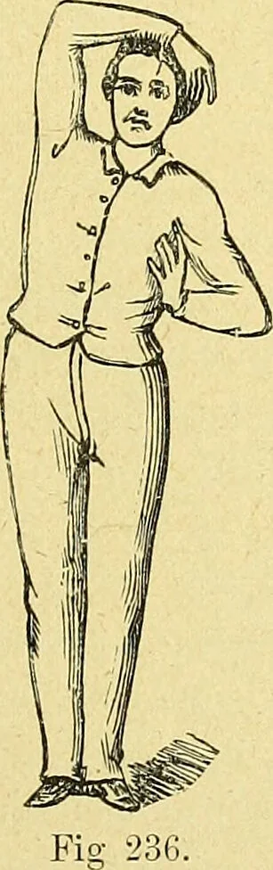 An illustration from La nuova medicina natural : trattato d'insegnamento e di consultazione sul metodo di curare e di guarire le malattie seguendo le leggi di natura / di F.E. Bilz., 1895, leaf 245