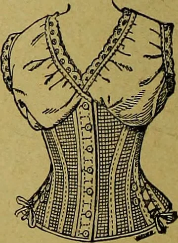 An illustration from La nuova medicina natural : trattato d'insegnamento e di consultazione sul metodo di curare e di guarire le malattie seguendo le leggi di natura / di F.E. Bilz., 1895, leaf 332