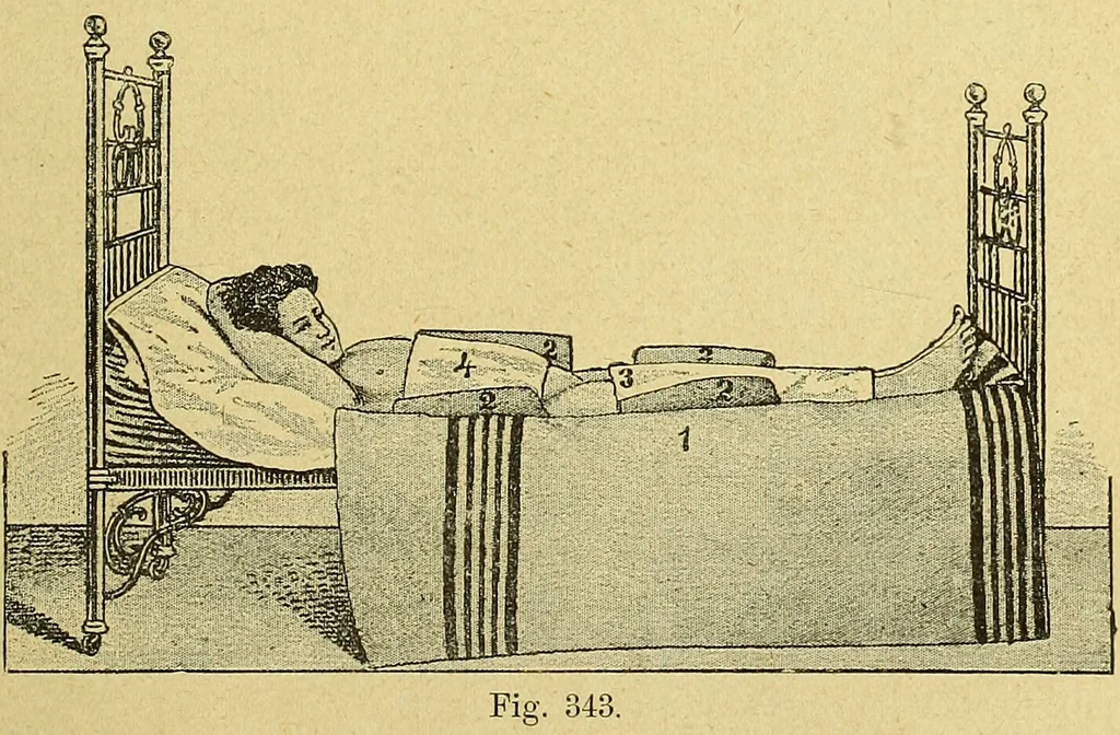 An illustration from La nuova medicina natural : trattato d'insegnamento e di consultazione sul metodo di curare e di guarire le malattie seguendo le leggi di natura / di F.E. Bilz., 1895, leaf 345