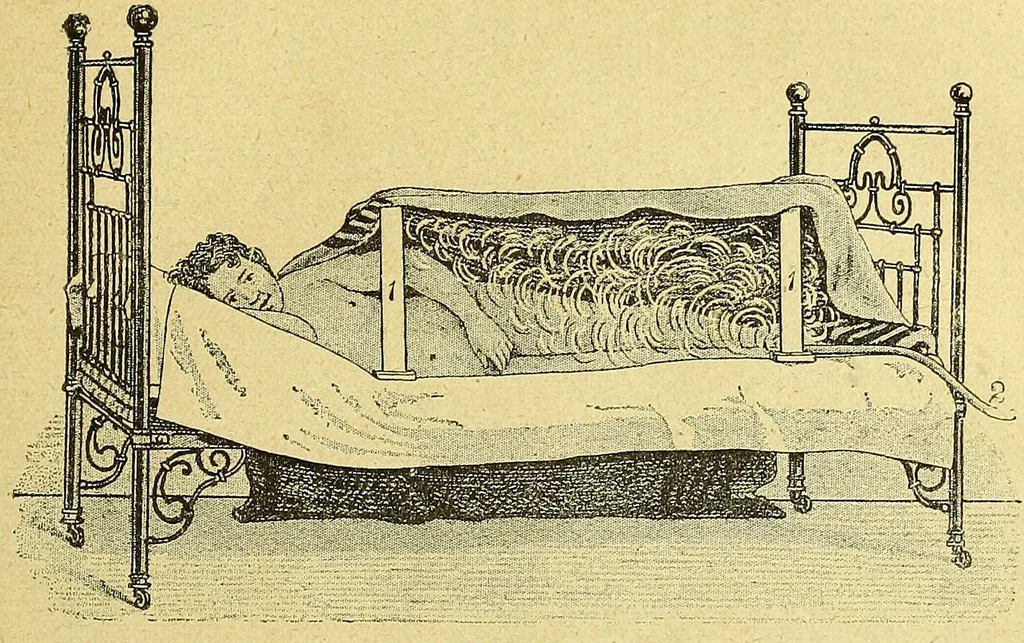 An illustration from La nuova medicina natural : trattato d'insegnamento e di consultazione sul metodo di curare e di guarire le malattie seguendo le leggi di natura / di F.E. Bilz., 1895, leaf 349