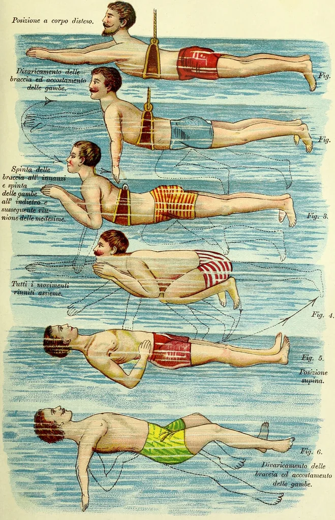 An illustration from La nuova medicina natural : trattato d'insegnamento e di consultazione sul metodo di curare e di guarire le malattie seguendo le leggi di natura / di F.E. Bilz., 1895, leaf 35