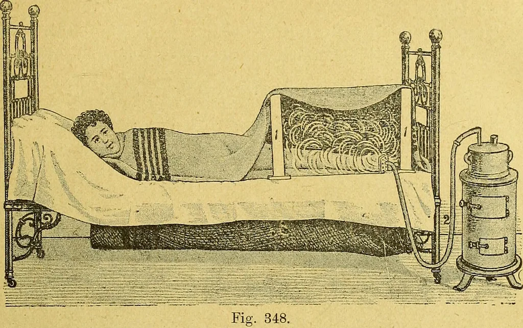 An illustration from La nuova medicina natural : trattato d'insegnamento e di consultazione sul metodo di curare e di guarire le malattie seguendo le leggi di natura / di F.E. Bilz., 1895, leaf 351