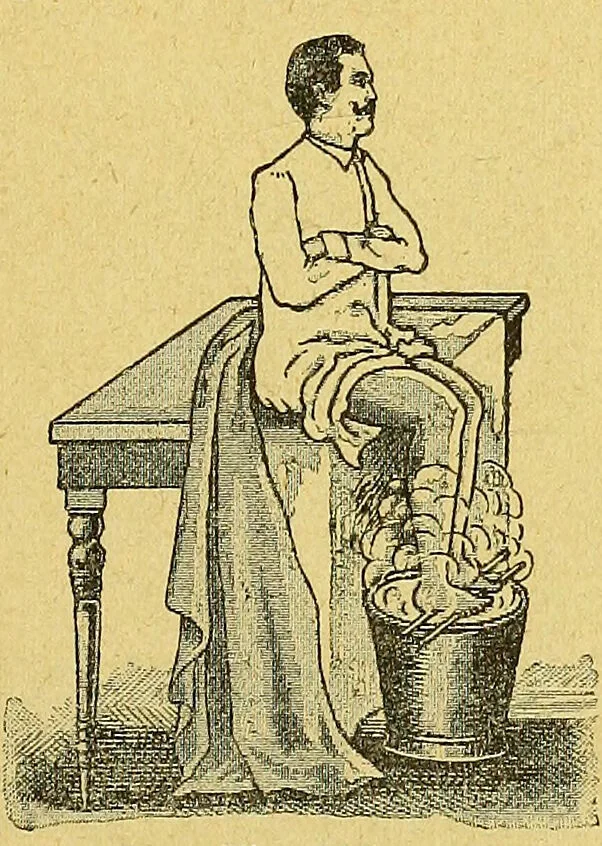 An illustration from La nuova medicina natural : trattato d'insegnamento e di consultazione sul metodo di curare e di guarire le malattie seguendo le leggi di natura / di F.E. Bilz., 1895, leaf 355