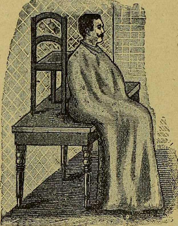 An illustration from La nuova medicina natural : trattato d'insegnamento e di consultazione sul metodo di curare e di guarire le malattie seguendo le leggi di natura / di F.E. Bilz., 1895, leaf 356