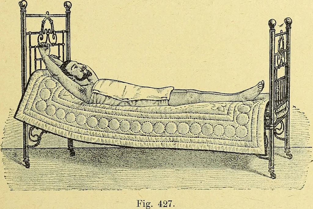 An illustration from La nuova medicina natural : trattato d'insegnamento e di consultazione sul metodo di curare e di guarire le malattie seguendo le leggi di natura / di F.E. Bilz., 1895, leaf 359