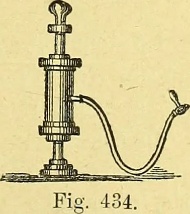 An illustration from La nuova medicina natural : trattato d'insegnamento e di consultazione sul metodo di curare e di guarire le malattie seguendo le leggi di natura / di F.E. Bilz., 1895, leaf 361