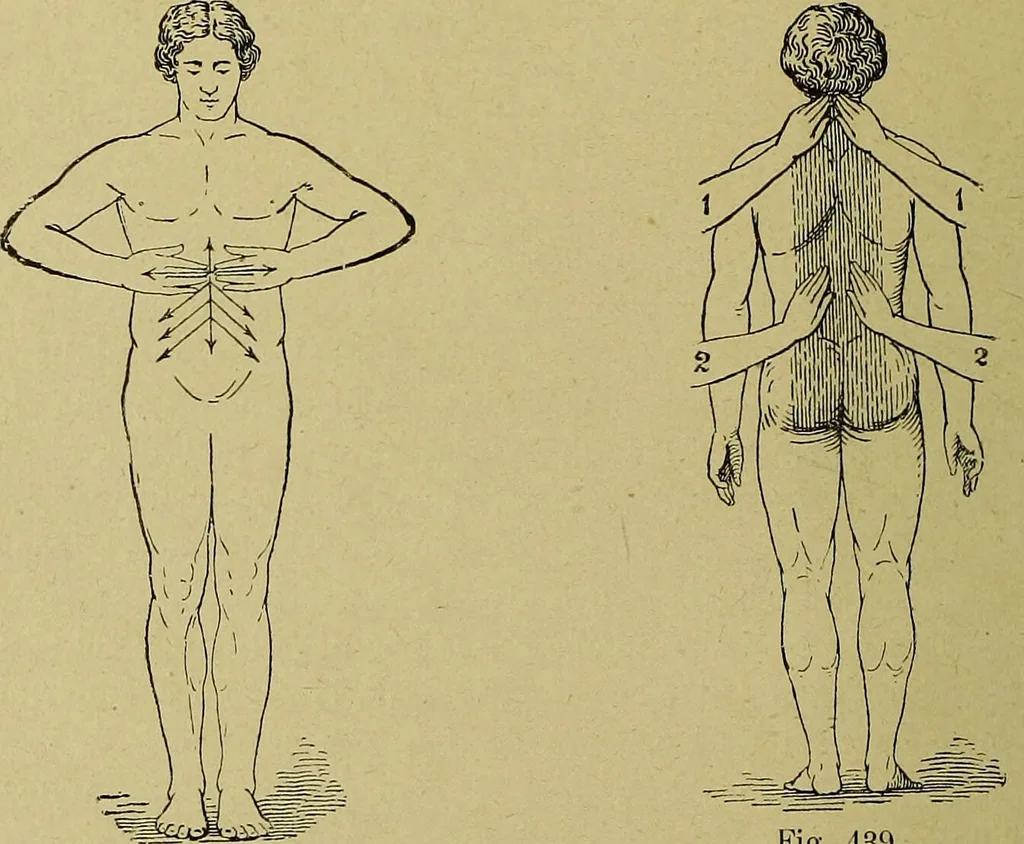 An illustration from La nuova medicina natural : trattato d'insegnamento e di consultazione sul metodo di curare e di guarire le malattie seguendo le leggi di natura / di F.E. Bilz., 1895, leaf 366
