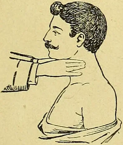 An illustration from La nuova medicina natural : trattato d'insegnamento e di consultazione sul metodo di curare e di guarire le malattie seguendo le leggi di natura / di F.E. Bilz., 1895, leaf 367