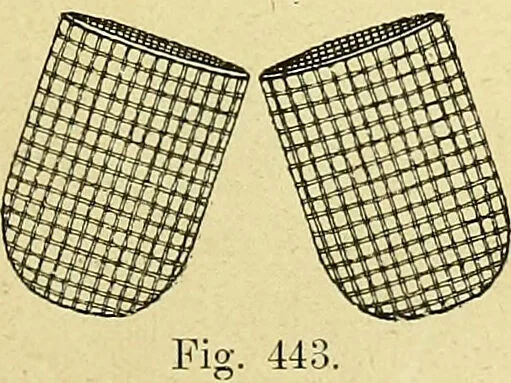 An illustration from La nuova medicina natural : trattato d'insegnamento e di consultazione sul metodo di curare e di guarire le malattie seguendo le leggi di natura / di F.E. Bilz., 1895, leaf 367