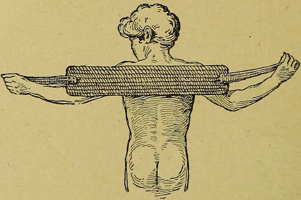 An illustration from La nuova medicina natural : trattato d'insegnamento e di consultazione sul metodo di curare e di guarire le malattie seguendo le leggi di natura / di F.E. Bilz., 1895, leaf 368