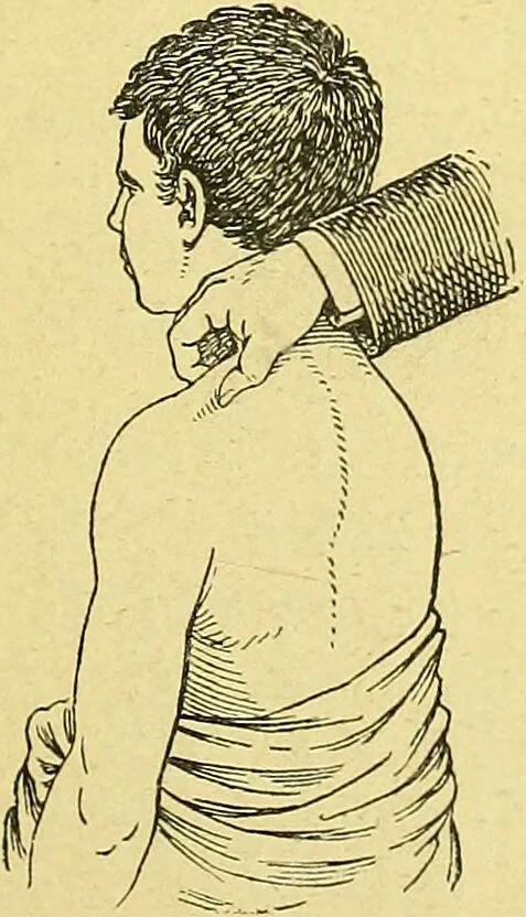 An illustration from La nuova medicina natural : trattato d'insegnamento e di consultazione sul metodo di curare e di guarire le malattie seguendo le leggi di natura / di F.E. Bilz., 1895, leaf 369