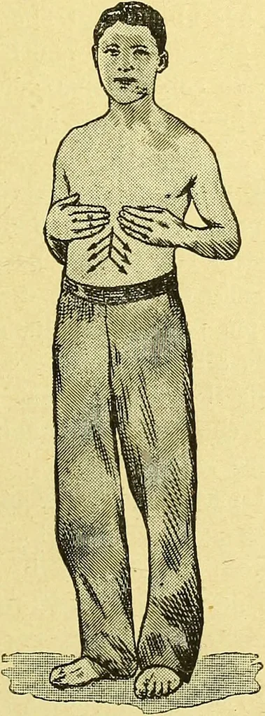 An illustration from La nuova medicina natural : trattato d'insegnamento e di consultazione sul metodo di curare e di guarire le malattie seguendo le leggi di natura / di F.E. Bilz., 1895, leaf 381