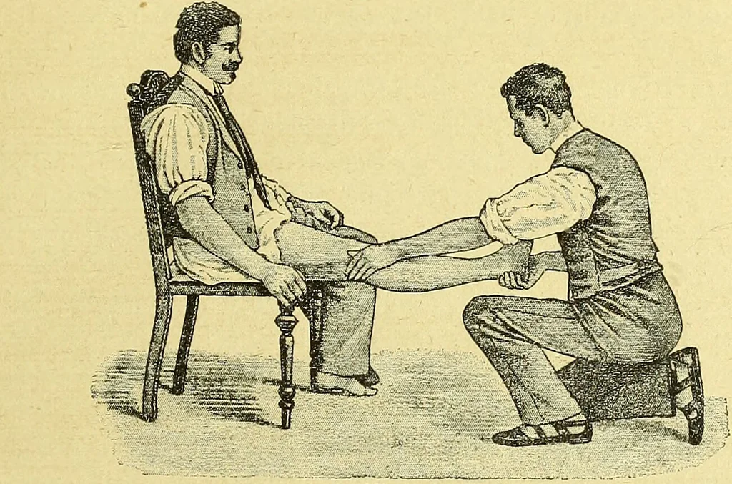 An illustration from La nuova medicina natural : trattato d'insegnamento e di consultazione sul metodo di curare e di guarire le malattie seguendo le leggi di natura / di F.E. Bilz., 1895, leaf 387