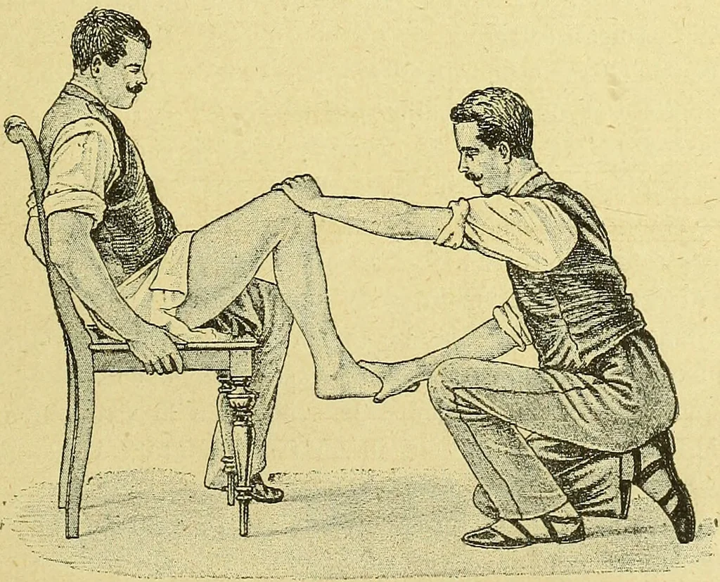 An illustration from La nuova medicina natural : trattato d'insegnamento e di consultazione sul metodo di curare e di guarire le malattie seguendo le leggi di natura / di F.E. Bilz., 1895, leaf 387