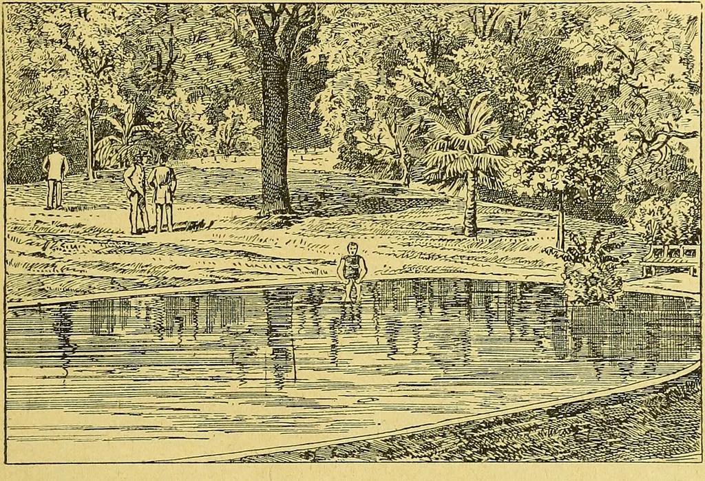 An illustration from La nuova medicina natural : trattato d'insegnamento e di consultazione sul metodo di curare e di guarire le malattie seguendo le leggi di natura / di F.E. Bilz., 1895, leaf 409