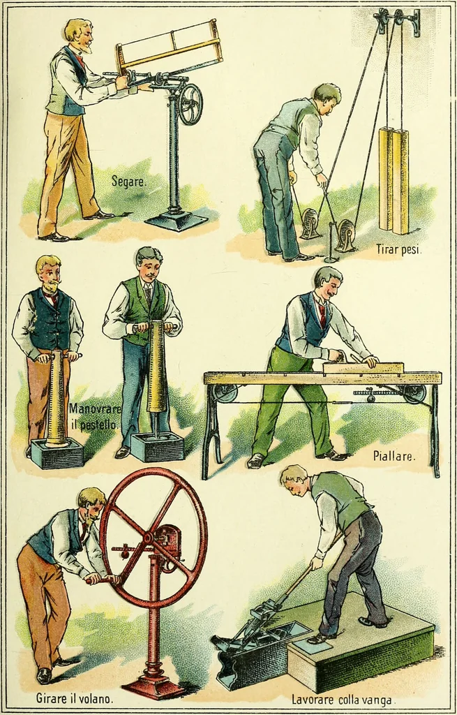 An illustration from La nuova medicina natural : trattato d'insegnamento e di consultazione sul metodo di curare e di guarire le malattie seguendo le leggi di natura / di F.E. Bilz., 1895, leaf 55