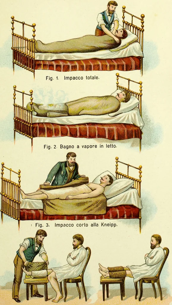 An illustration from La nuova medicina natural : trattato d'insegnamento e di consultazione sul metodo di curare e di guarire le malattie seguendo le leggi di natura / di F.E. Bilz., 1895, leaf 65