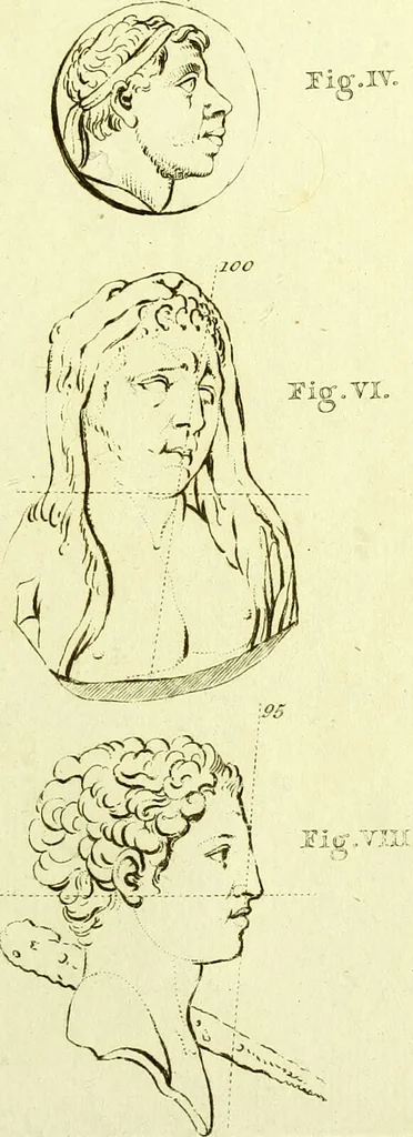 An illustration from Dissertation physique de Mr. Pierre Camper, sur les différences réelles que présentent les traits du visage chez les hommes de différents pays et de différents âges, sur le beau qui caractèrise les statues antiques et les pierres gravées : suivie de la proposition d'une nouvelle méthode pour déssiner toutes sortes de têtes humaines avec la plus grande sûreté / publiée après le décès de l'auteur par son fils Adrien Gilles Camper ; traduite du hollandois par Denis Bernard Quatremere d'Isjonval., 1791, leaf 147