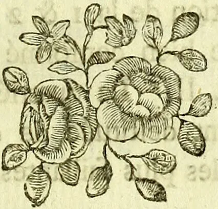 An illustration from Dissertation physique de Mr. Pierre Camper, sur les différences réelles que présentent les traits du visage chez les hommes de différents pays et de différents âges, sur le beau qui caractèrise les statues antiques et les pierres gravées : suivie de la proposition d'une nouvelle méthode pour déssiner toutes sortes de têtes humaines avec la plus grande sûreté / publiée après le décès de l'auteur par son fils Adrien Gilles Camper ; traduite du hollandois par Denis Bernard Quatremere d'Isjonval., 1791, leaf 77