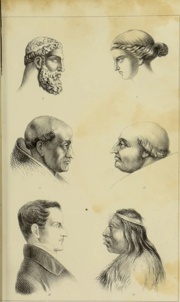 An illustration from Phrenologische Bilder : zur Naturlehre des menschlichen Geistes und deren Anwendung auf Wissenschaft und Leben auch zur Verständigung zwischen Phrenologie und Anthropologie / von Gustav Scheve., 1874, leaf 381