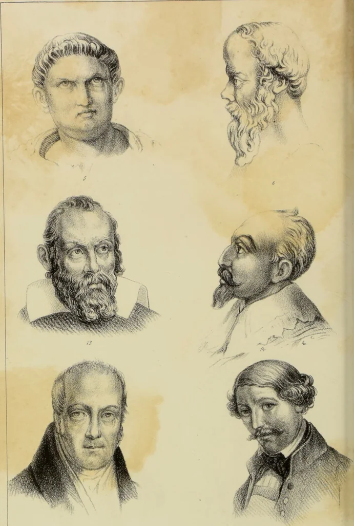 An illustration from Phrenologische Bilder : zur Naturlehre des menschlichen Geistes und deren Anwendung auf Wissenschaft und Leben auch zur Verständigung zwischen Phrenologie und Anthropologie / von Gustav Scheve., 1874, leaf 384