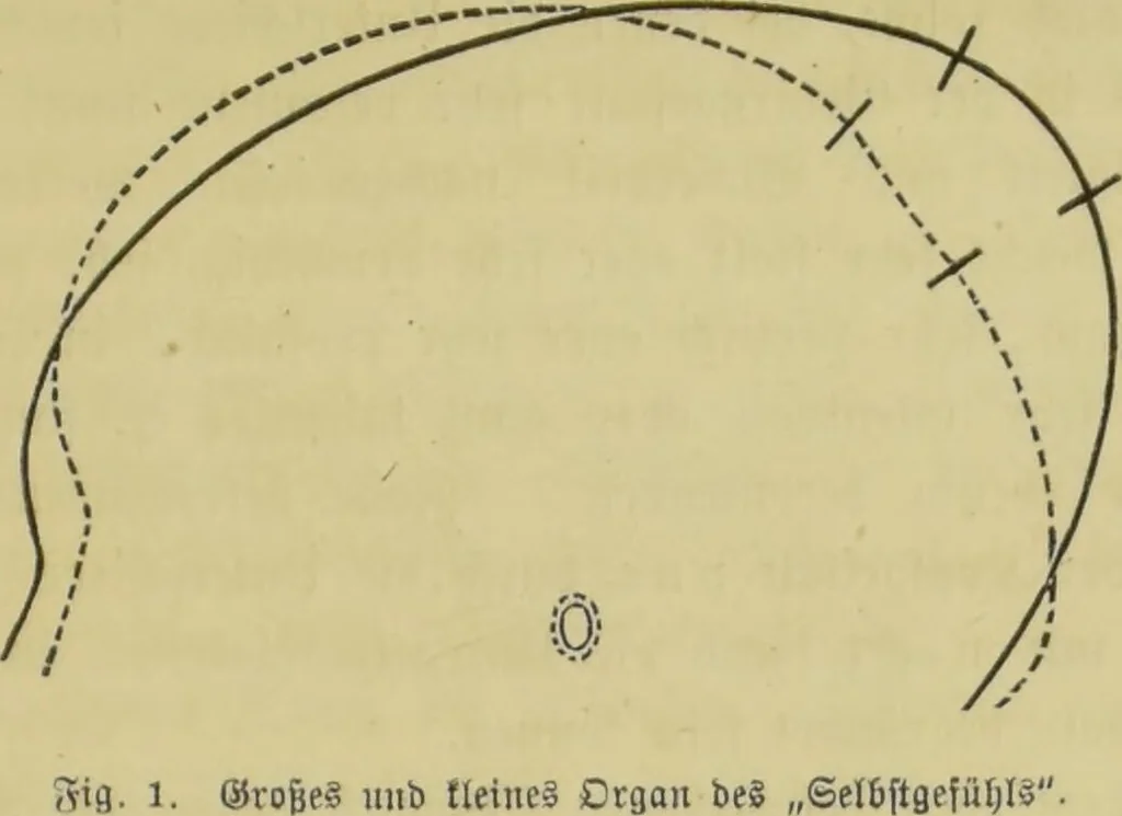 An illustration from Phrenologische Bilder : zur Naturlehre des menschlichen Geistes und deren Anwendung auf Wissenschaft und Leben auch zur Verständigung zwischen Phrenologie und Anthropologie / von Gustav Scheve., 1874, leaf 465