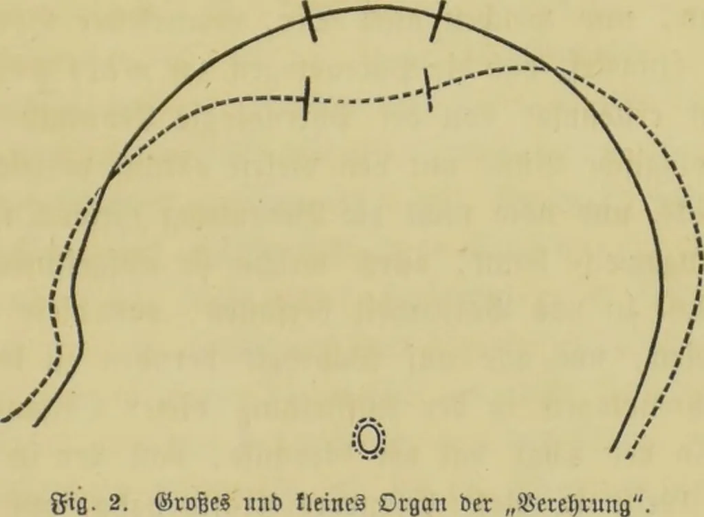 An illustration from Phrenologische Bilder : zur Naturlehre des menschlichen Geistes und deren Anwendung auf Wissenschaft und Leben auch zur Verständigung zwischen Phrenologie und Anthropologie / von Gustav Scheve., 1874, leaf 465