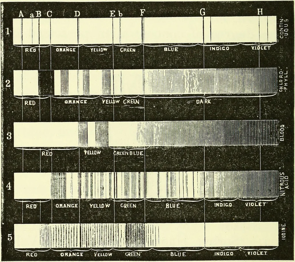 An illustration from Spectrum analysis in its application to terrestrial substances, and the physical constitution of the heavenly bodies / familiarly explained by H. Schellen ; translated from the second enlarged and revised German edition by Jane and Caroline Lassell ; edited with notes by William Huggins ; with numerous woodcuts and coloured plates, and Ångström's and Kirchhoff's maps., 1872, leaf 216