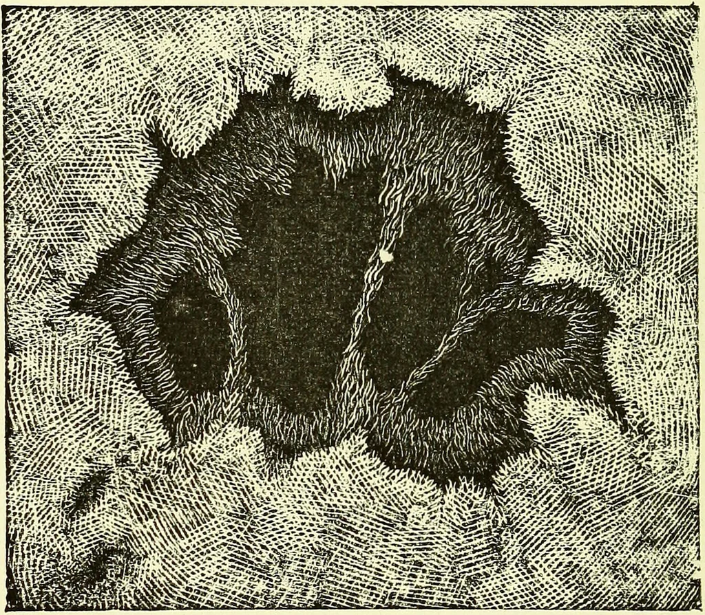 An illustration from Spectrum analysis in its application to terrestrial substances, and the physical constitution of the heavenly bodies / familiarly explained by H. Schellen ; translated from the second enlarged and revised German edition by Jane and Caroline Lassell ; edited with notes by William Huggins ; with numerous woodcuts and coloured plates, and Ångström's and Kirchhoff's maps., 1872, leaf 318