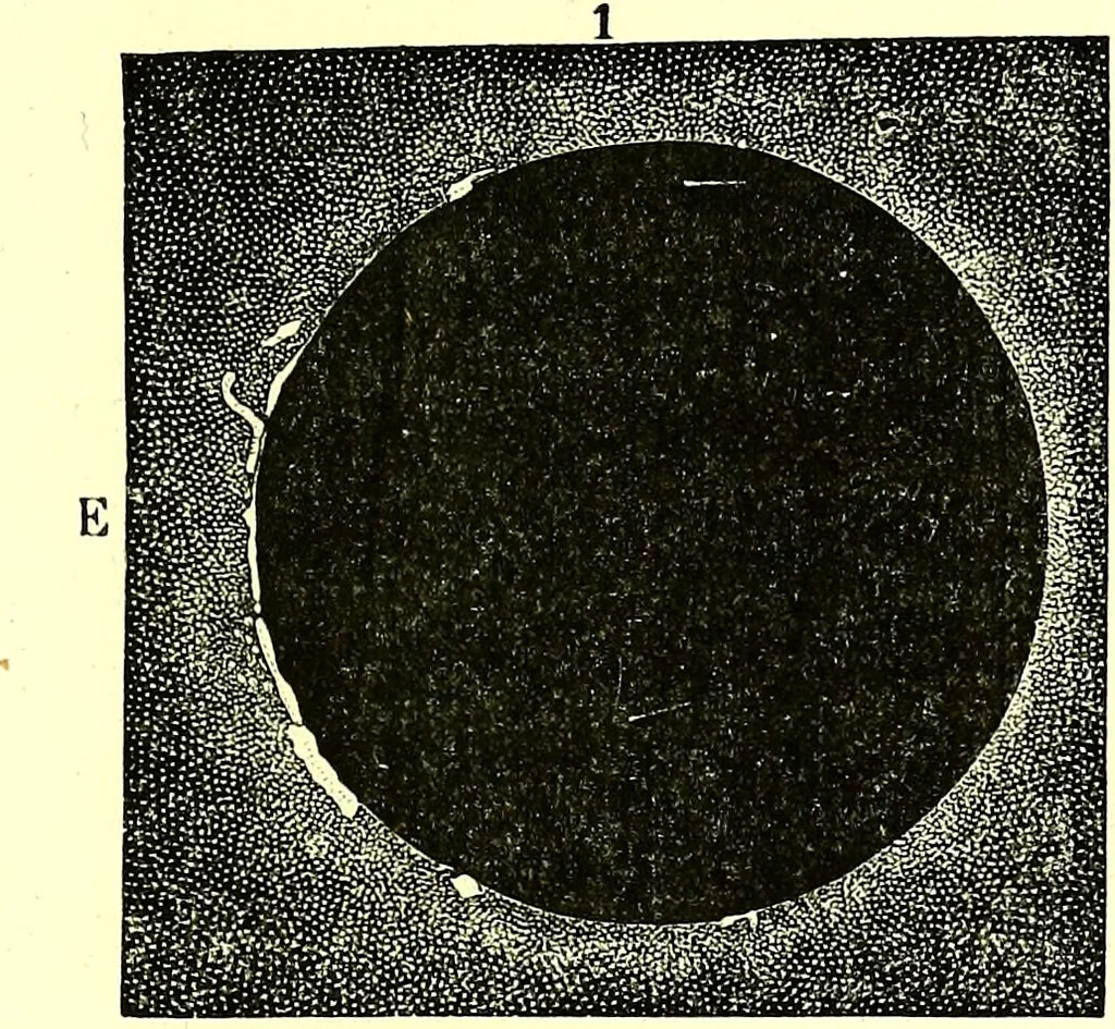 An illustration from Spectrum analysis in its application to terrestrial substances, and the physical constitution of the heavenly bodies / familiarly explained by H. Schellen ; translated from the second enlarged and revised German edition by Jane and Caroline Lassell ; edited with notes by William Huggins ; with numerous woodcuts and coloured plates, and Ångström's and Kirchhoff's maps., 1872, leaf 357