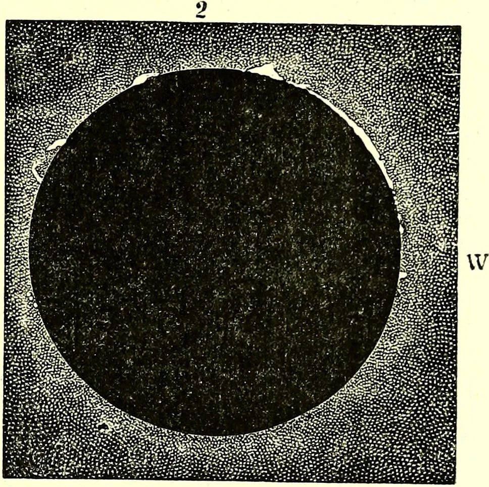 An illustration from Spectrum analysis in its application to terrestrial substances, and the physical constitution of the heavenly bodies / familiarly explained by H. Schellen ; translated from the second enlarged and revised German edition by Jane and Caroline Lassell ; edited with notes by William Huggins ; with numerous woodcuts and coloured plates, and Ångström's and Kirchhoff's maps., 1872, leaf 357