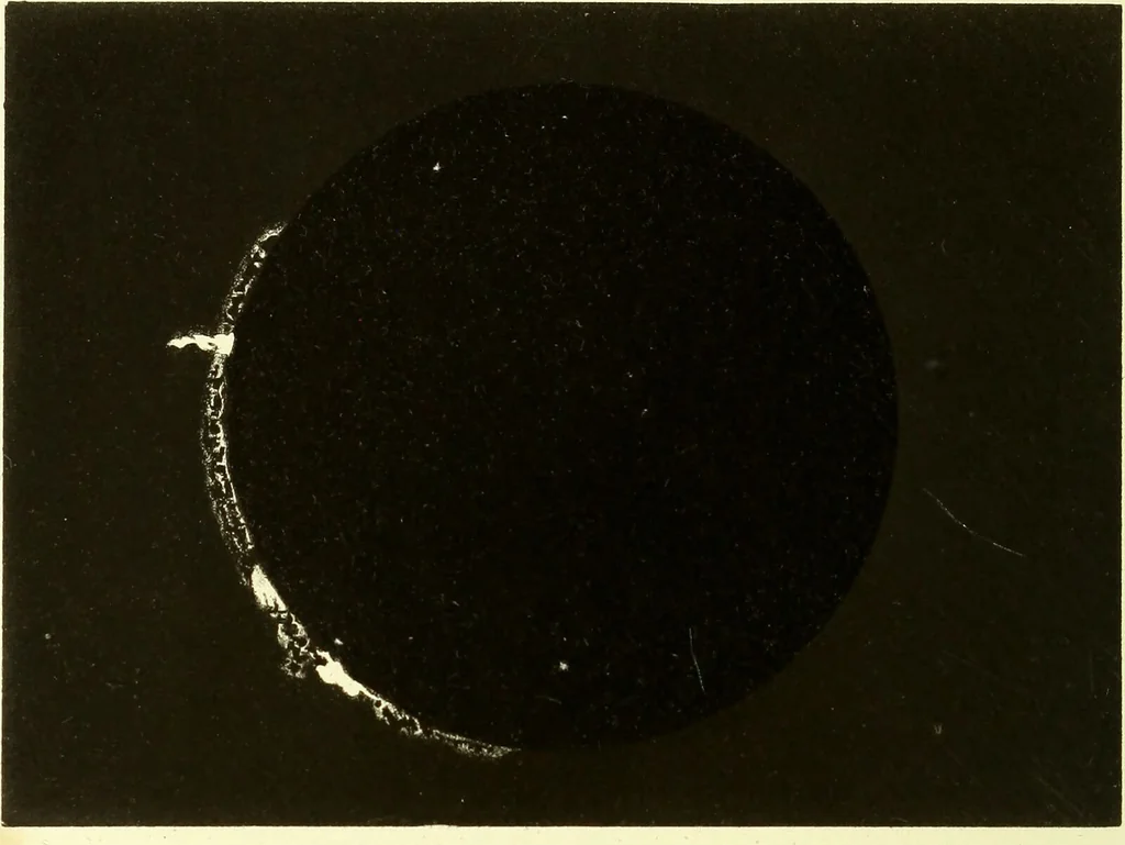 An illustration from Spectrum analysis in its application to terrestrial substances, and the physical constitution of the heavenly bodies / familiarly explained by H. Schellen ; translated from the second enlarged and revised German edition by Jane and Caroline Lassell ; edited with notes by William Huggins ; with numerous woodcuts and coloured plates, and Ångström's and Kirchhoff's maps., 1872, leaf 372