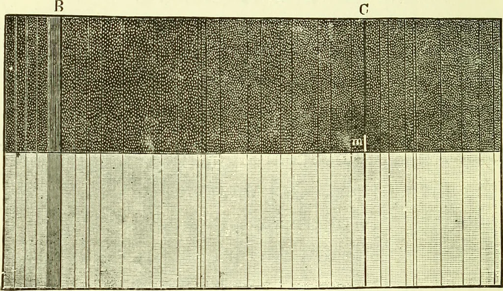 An illustration from Spectrum analysis in its application to terrestrial substances, and the physical constitution of the heavenly bodies / familiarly explained by H. Schellen ; translated from the second enlarged and revised German edition by Jane and Caroline Lassell ; edited with notes by William Huggins ; with numerous woodcuts and coloured plates, and Ångström's and Kirchhoff's maps., 1872, leaf 410