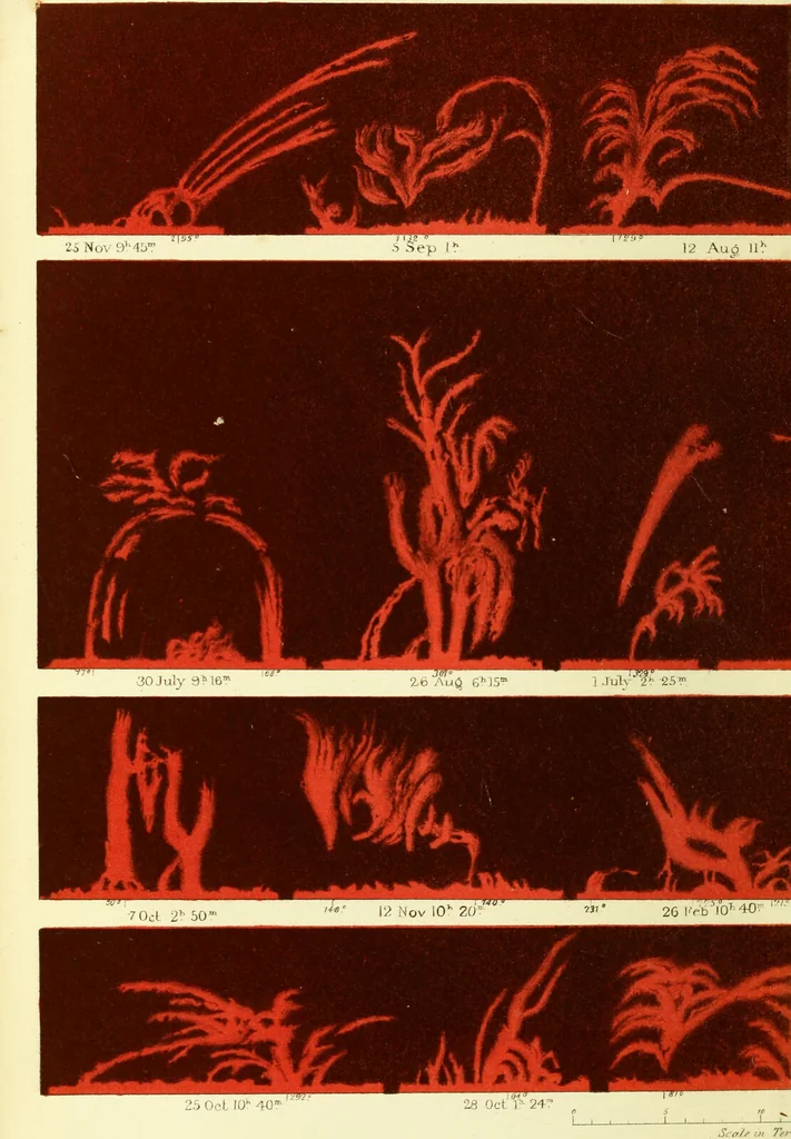 An illustration from Spectrum analysis in its application to terrestrial substances, and the physical constitution of the heavenly bodies / familiarly explained by H. Schellen ; translated from the second enlarged and revised German edition by Jane and Caroline Lassell ; edited with notes by William Huggins ; with numerous woodcuts and coloured plates, and Ångström's and Kirchhoff's maps., 1872, leaf 442
